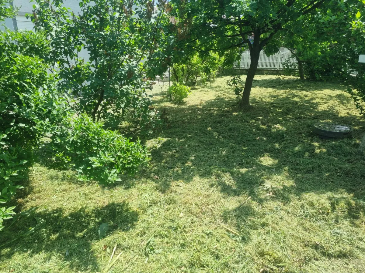 Košenje trave Lozovik - Galerija